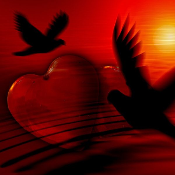 Perfect Love Meditation